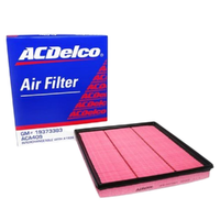 GM19373383-ACDelco Air Filter ACA409 x-ref-A1936 19373383-2