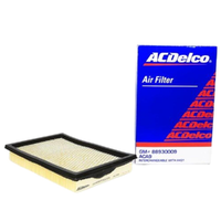 GM88930009-ACDelco Air Filter ACA9 x-ref-A431 88930009-2