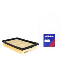 GM88930048-ACDelco Air Filter ACA48 x-ref-A487 88930048-2
