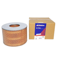 GM88930413-ACDelco Air Filter ACA87 x-ref-A331 88930413-2