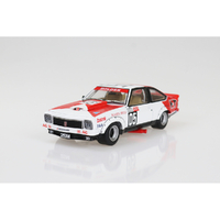 1:24 1979 A9X Torana 308 Bathurst Winner | DDA803