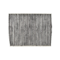 Genuine Ford Cabin Carbon Filter Fiesta and Ecosport 2008-2017 8V5J19G244AA