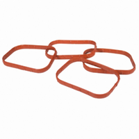 Genuine Ford Intake Manifold Gasket Mustang 2.3L Focus RS Falcon CJ5Z9439A