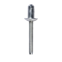 Genuine Ford Rivet Blind W707638S900C