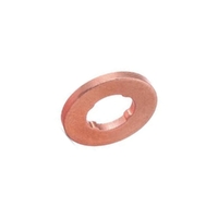 Genuine Holden Seal-Combustion Fuel Injector 12648861