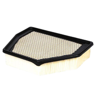 ACDelco Air Filter ACA248 x-ref-A1796 19272655