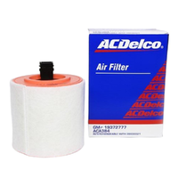 ACDelco Air Filter ACA384 x-ref-A1953 19372777