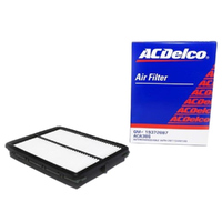 ACDelco Air Filter ACA386 x-ref-A2019 19372887