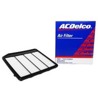 ACDelco Air Filter ACA394 19372984