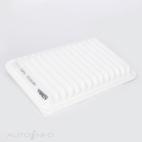 ACDelco Air Filter ACA403 x-ref-A1987 19373377