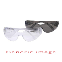 ACDelco Safety Glasses Clear AC1600 19375260