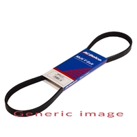 ACDelco Drive Belt 5PK875 19376056