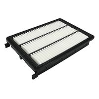 Genuine Hyundai Air Filter Tucson 1.6L and 2.0L 2015-2021 28113D3300