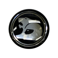Genuine HSV Key Stick-On Emblem Key B07-060602